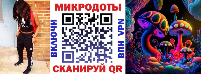 Псилоцибиновые грибы мицелий  Купить закладки  Североуральск 